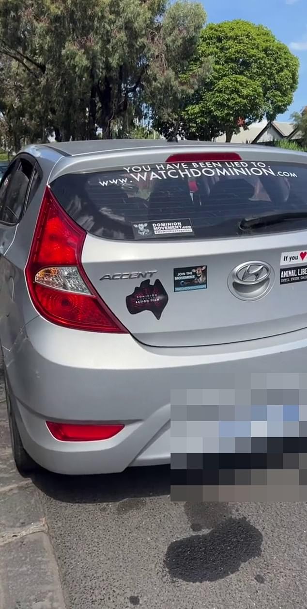 The dog was found locked inside a car yesterday in 31C heat with animal activist stickers taped to the back (pictured)