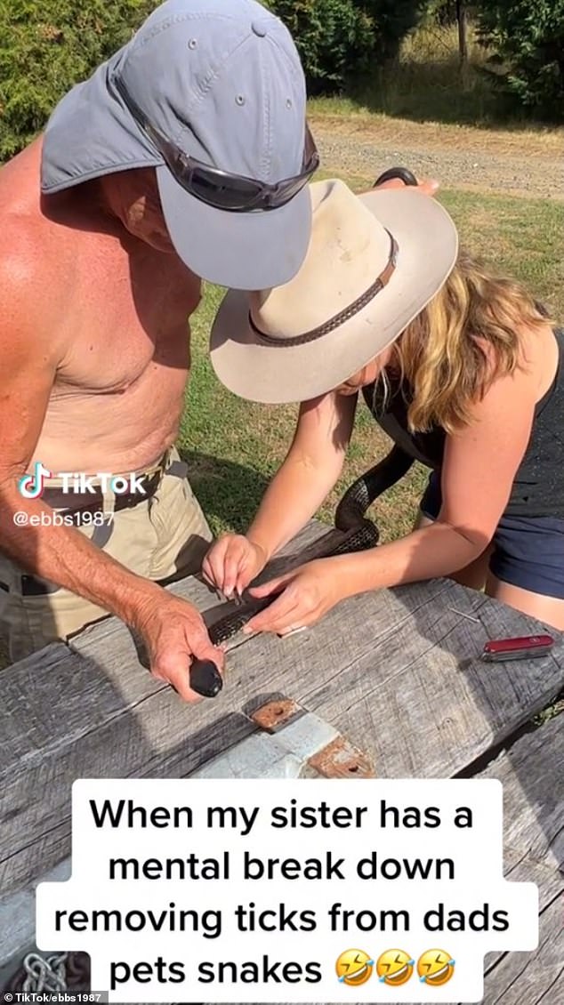 A father and daughter were filmed arguing while removing ticks from a deadly snake (pictured)