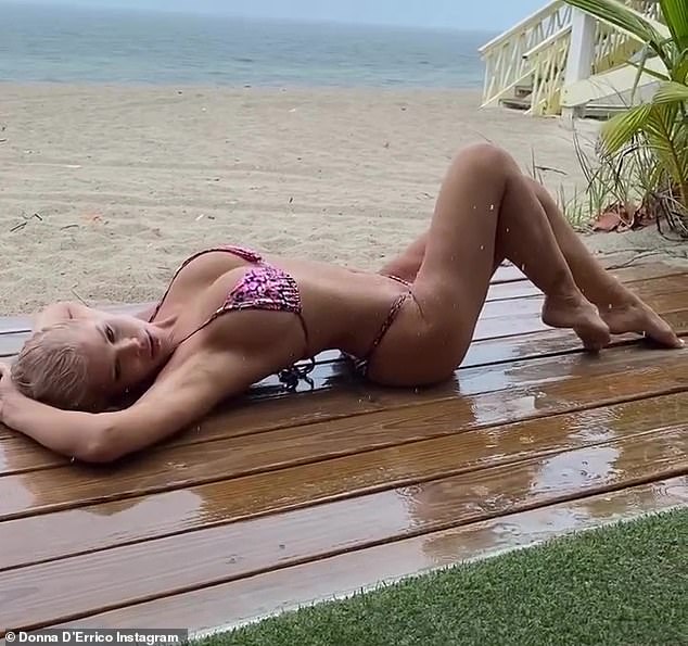 Looking good: Donna D'Errico showed off her timeless beauty as she flaunted her toned body in a skimpy bikini on Instagram