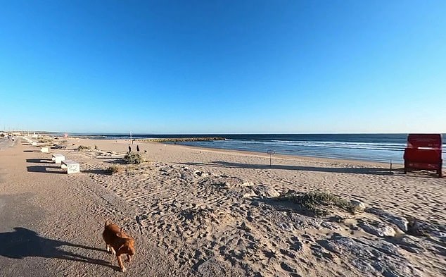 The 19-year-old and two friends got into difficulties while swimming on a small sandy beach on the Costa da Caparica coastline south of Lisbon