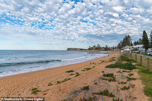 A massive search was launched at Collaroy Beach after reports of a body floating in the water.