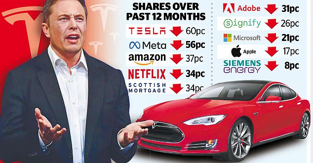 In the slow lane: Shares in Tesla, run by Elon Musk, have collapsed