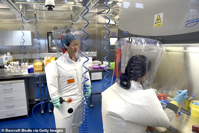 Virologist Shi Zheng-li, nicknamed the 'Bat Lady', appears in the lab.  She searched for dozens of deadly Covid-like viruses in bat caves and studied them at the WIV.