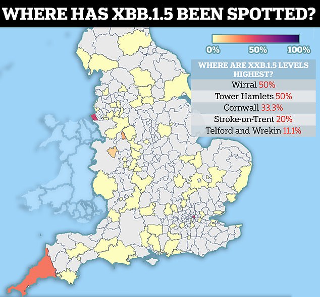 Figures from the Sanger Institute, one of the UK's largest Covid surveillance centres, show XBB.1.5 was spotted nine times in the week to December 17. Five of the cases were spotted in Wirral in Merseyside, where scientists estimate it is behind 50 per cent of cases. One XBB.1.5 sample was sequenced in Stroke-on-Trent, where 20 per cent of cases are thought to be caused by the strain. Telford and Wrekin in Shropshire (11 per cent), Tower Hamlets in London (50 per cent) and Cornwall (33 per cent) all each reported one strain caused by the Omicron sub-variant