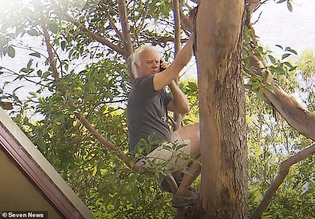 Norm Duke, 70, (pictured) scaled native undergrowth moments before arborists arrived at his property in Currumbin, a coastal suburb on Queensland's Gold Coast, to cut it down.