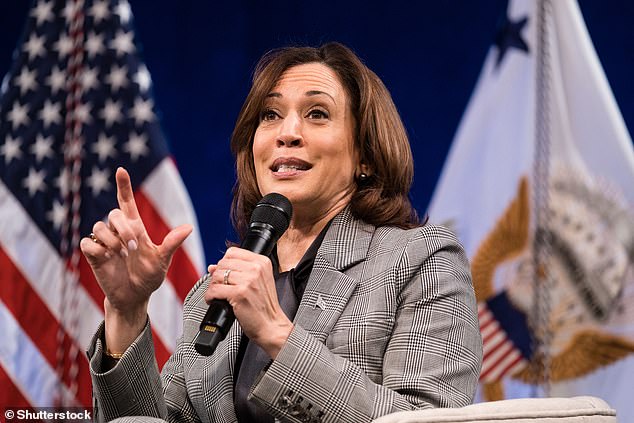 Democrats say Vice President Kamala Harris is not 'an expert communicator,' disappointing and has been nearly invisible in a brutal assessment of her political future, as President Joe Biden moves closer to making a decision on a run for 2024.