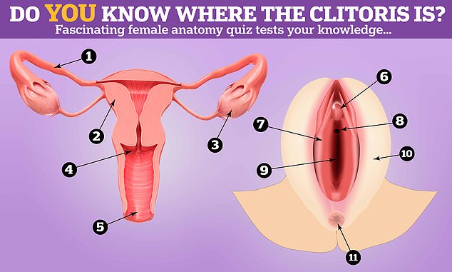 Can you label this female anatomy? Find the answers below