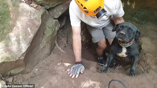 Jax, the staff member, emerges safely from the cave where the dog was trapped for two days.