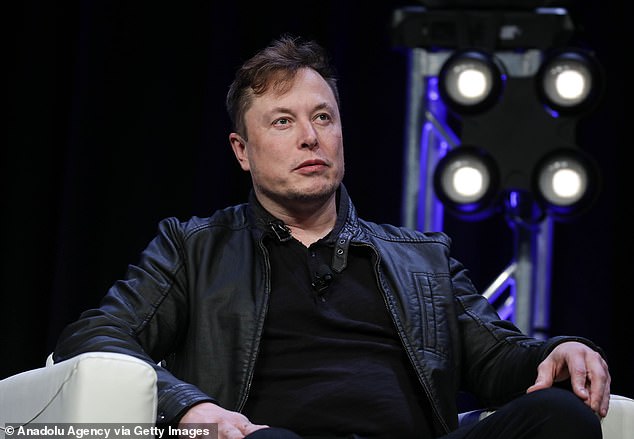 Experts are calling for more transparency on why Elon Musk (pictured) sold 22 million shares just weeks before the disappointing sales figures were released.