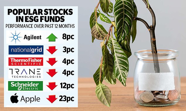 Ethical stocks have tumbled but they are still a