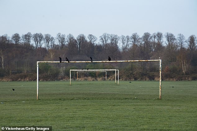 Nottinghamshire FA are investigating a claim of sexual assault at a Sunday League match