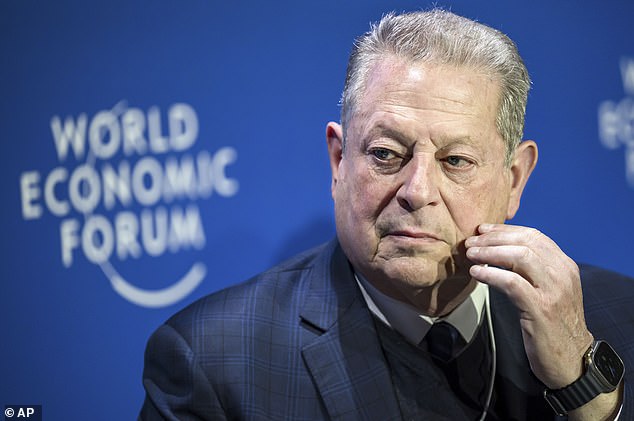 Former Vice President Al Gore delivered an 'impassioned' and 'insane' speech on climate change on stage at the World Economic Forum in Davos, Switzerland.