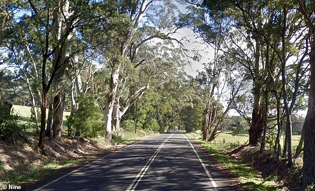 The woman in her 50s was driving a van westbound along Illawarra Road near Burrawang in the southern highlands of New South Wales on Saturday afternoon when the branch struck her windscreen.