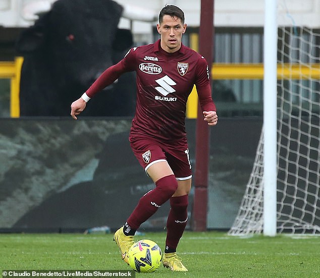 Sasa Lukic will join Fulham from Italian club Torino until the summer of 2026