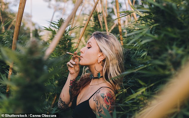 Legalizing cannabis in Australia could raise up to $28 billion in tax over a decade.  In the image, a woman smoking weed.