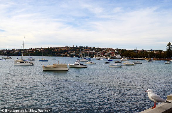 JANUARY 1, 2014: Farhad Qaumi is shot as his yacht pulls up to Rose Bay Marina in Sydney's eastern suburbs (pictured) after the NYE fireworks.