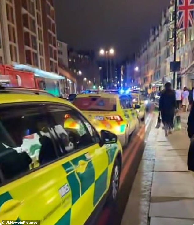 A man was stabbed after a fight broke out at Harrods luxury department store tonight, police said.