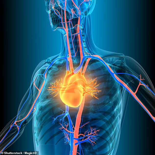 The NHS Heart Age calculator asks people their age, weight and height as well as basic information about their blood pressure, cholesterol and medical history. The test, available on its website or lower down in this MailOnline article is for adults aged between 30 and 95