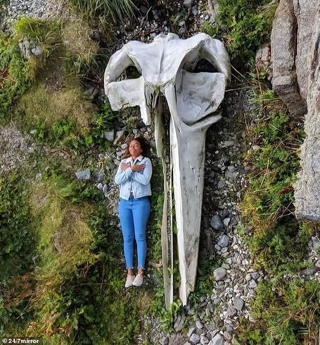 This incredible snapshot, showing a person compared to just part of a blue whale's skeleton, shows why so many people flock to London's Natural History Museum to catch a glimpse of the star specimen.