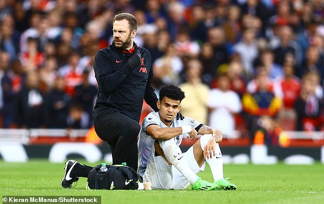 Luis Diaz has been on the sidelines at Liverpool since he injured his knee in October.