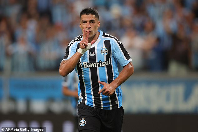 Luis Suárez scored a brilliant hat-trick on his debut for Gremio on Tuesday night