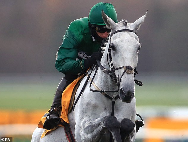 Bristol De Mai is expected to pick up another win at Haydock, if the course passes its 8 am inspection