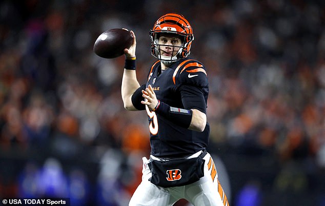 The Cincinnati Bengals will play the Buffalo Bills in a delicious AFC playoff duel