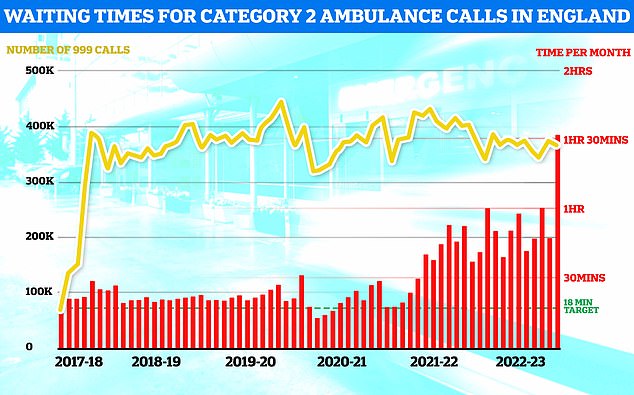 NHS emergency care crisis laid bare 999 response times are