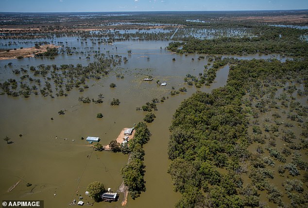 The potentially deadly Murray Valley encephalitis virus was detected in a mosquito in Menindee, in far western New South Wales, after flooding in the region (pictured) triggered a boom in populations of mosquitoes.