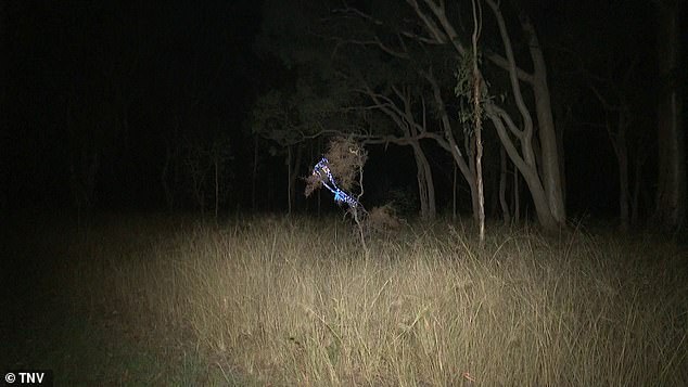 The woman's vehicle was found burned on a hill about 15 minutes by car from the unit.