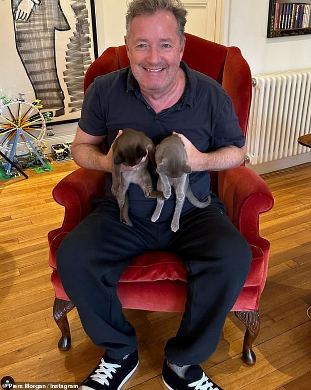 She's having kittens!  Piers Morgan revealed that he is now a proud cat dad when he showed off his two new fur babies in an Instagram post on Sunday.