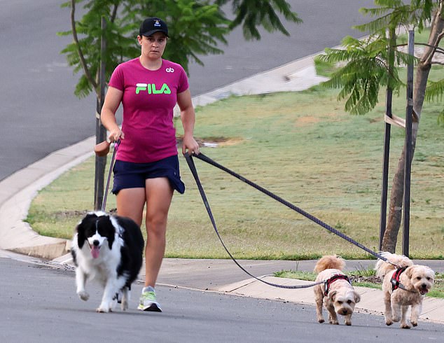 Barty showed the telltale sign that she's a mum-to-be when she took her pets for a walk near her Brisbane home on Thursday.