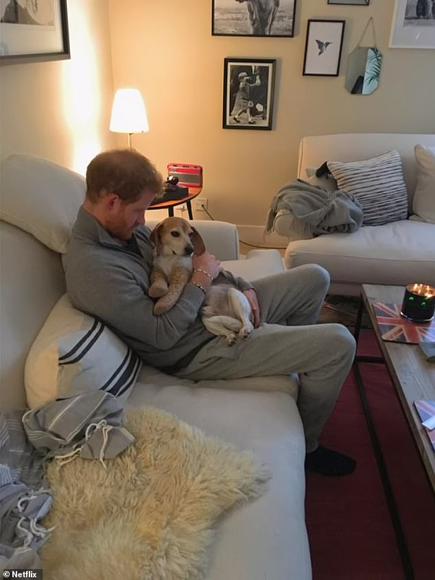 In his biography Spare, Harry describes how Nottingham Cottage was worlds away from William and Kate's luxurious Kensington Palace apartment.  He is pictured relaxing on the cream sofas in the living room, presumably the ones Meghan bought to replace the brown sofas.