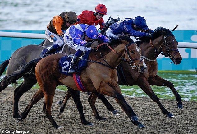 Sportsmail racing expert Robin Goodfellow offers his tips for Wednesday meetings.