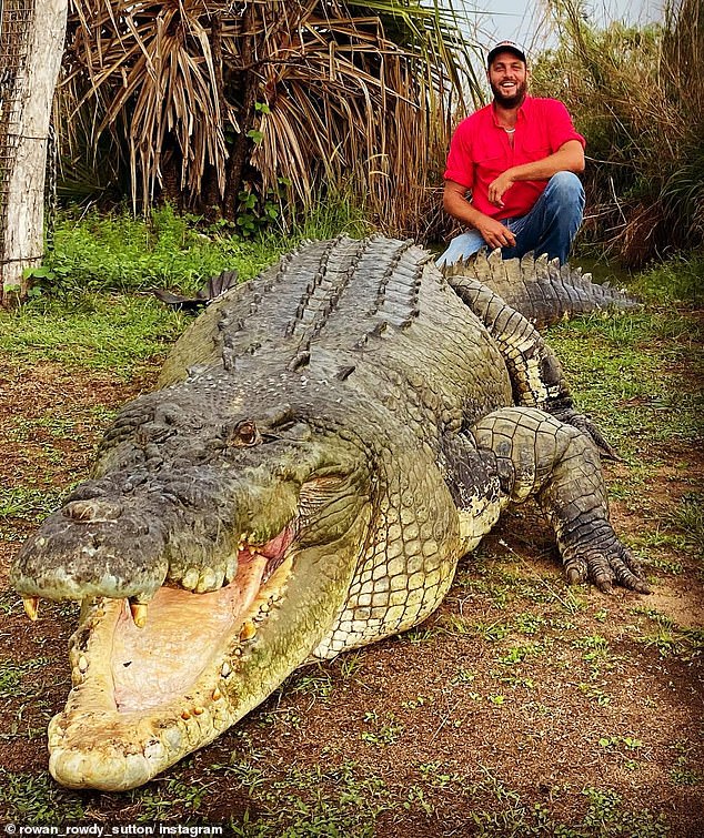Rowan Sutton (pictured in a previous job) saved the life of his partner who was mauled by a 5m crocodile last Thursday