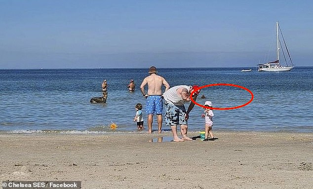 The image (pictured) was posted at the SES Chelsea Beach unit in the area and showed a man pointing at the camera with the child, with the small fin-like image sticking out of the water behind them.