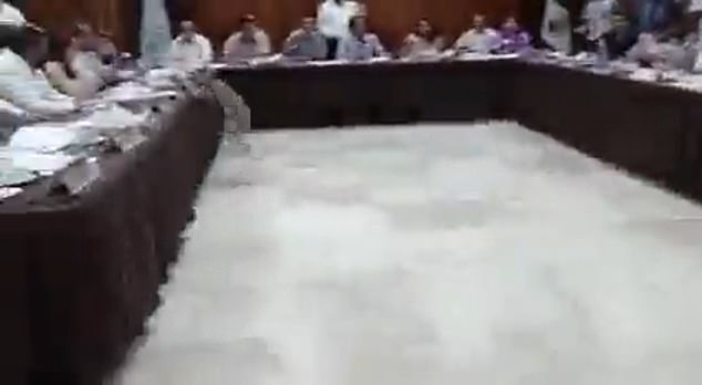 A raccoon invaded a city council budget meeting in the Mexican resort city of Acapulco, scaring politicians by screaming while others laughed at frightened colleagues.