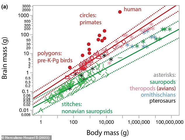 Relationship between brain and body mass for dinosaurs and modern animals. Asterisks = dinosaurs, Red polygons = modern birds, Green stitches = modern non-avian sauropsids, Red circles = primates