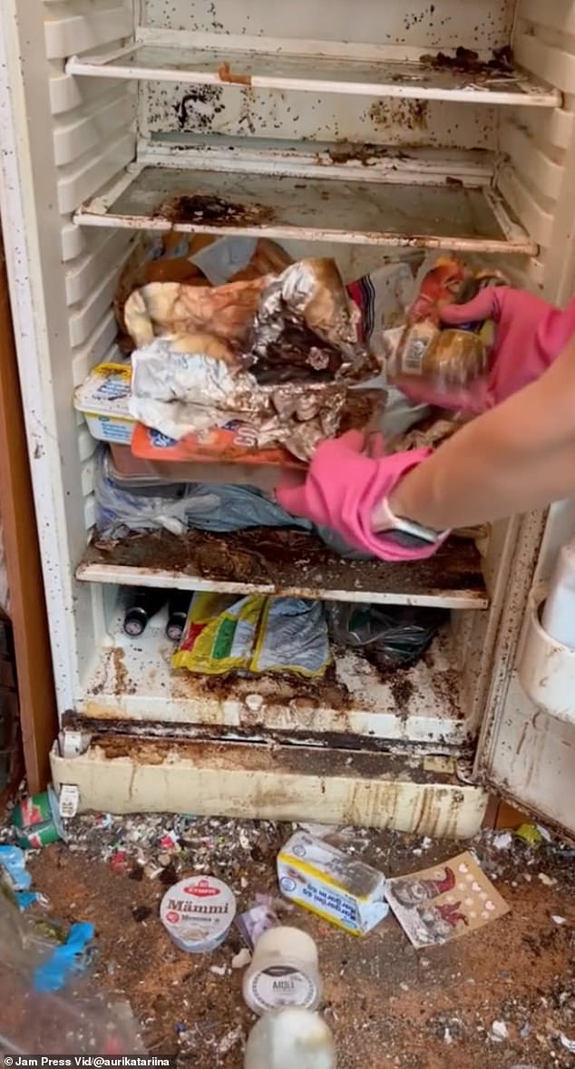 Auri Kananen, 29, from Tampere, Finland, posted a video of herself cleaning out a fridge that hadn't been opened in three years.