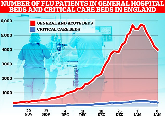 FLU: NHS data released today shows that 5,262 flu patients, on average, were in hospital beds each day in the week to January 8. The figure is three per cent lower than the 5,441 average from one week earlier. However, the number of flu patients has fallen 31 per cent — from its peak of 6,174 on January 2 — to 4,285 on January 8