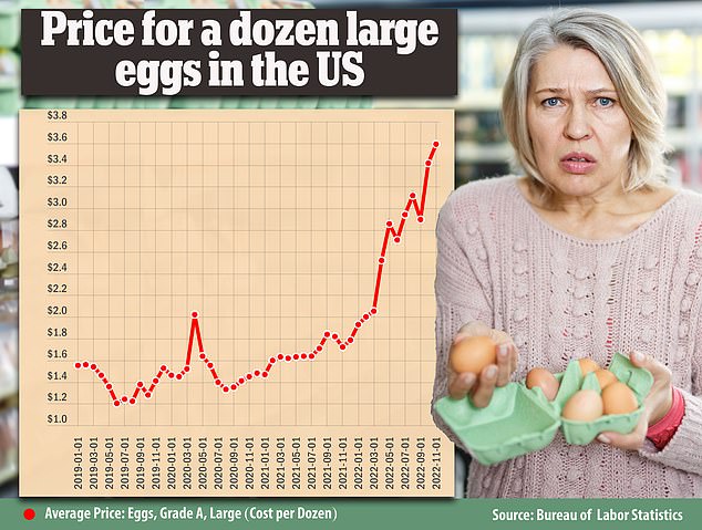 The national average price for a dozen eggs hit $3.59 in November, up from $1.72 a year earlier, the latest government data shows.