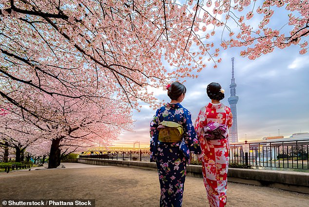 Socialites can enjoy Tokyo's famous cherry blossoms for as little as $699 back