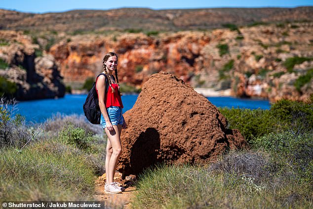 Tourists and stargazers alike will flock to Exmouth in April to watch the total solar eclipse.