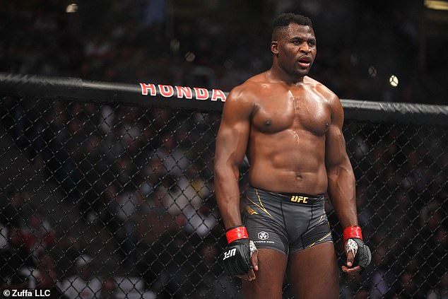 Francis Ngannou's departure from the UFC has left the heavyweight division in a state of limbo.