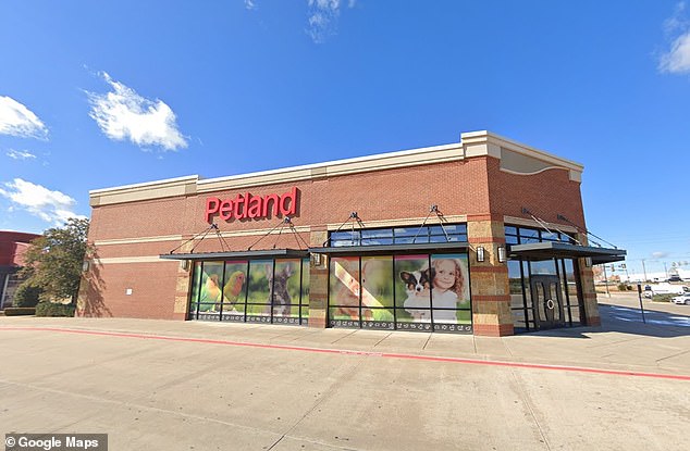 The animals were killed in a Petland near Memorial Road and Pennsylvania Avenue