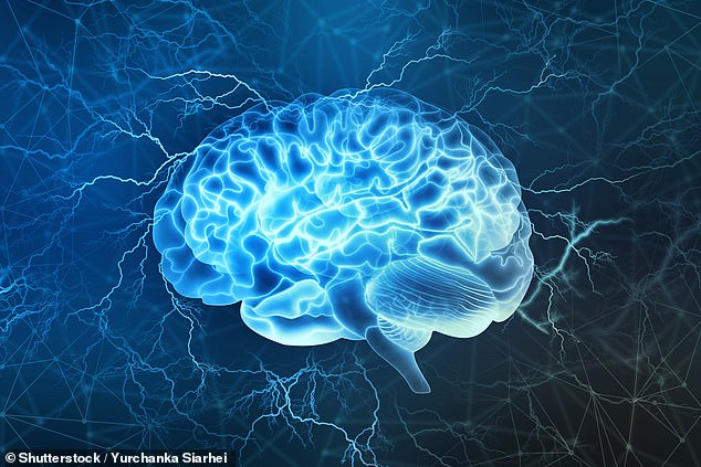 The results suggest that brain stimulation helps people answer math questions faster by stimulating their brain cells - perhaps turning on brain chemicals that make brain cells active, or turning on the chemicals that keep them inactive (file photo)