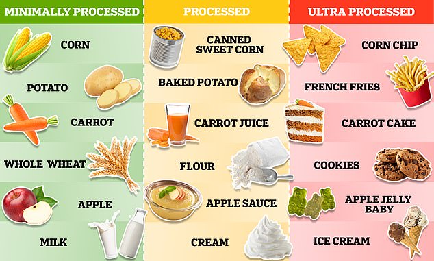 Nutritionists divide foods into three groups based on the amount of processing they have undergone.  Minimally processed foods, such as apples, are usually exactly as they occur in nature.  Processed foods, such as applesauce, have undergone at least one processing process that has changed their original form.  In contrast, ultra-processed foods, such as baby jelly babies, have undergone multiple levels of processing and are usually full of extra fats, dyes, and preservatives.