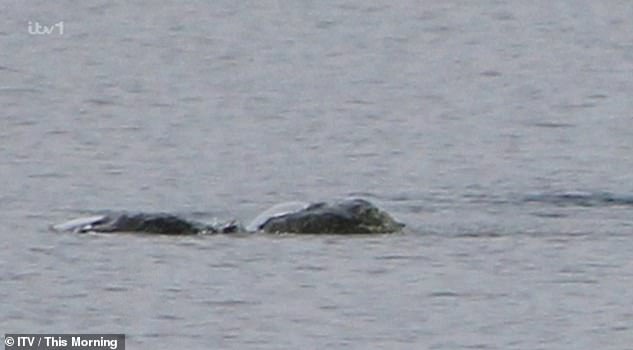 The eerie image, with two bumps in the water, was too convincing for Steve not to share with fellow enthusiasts