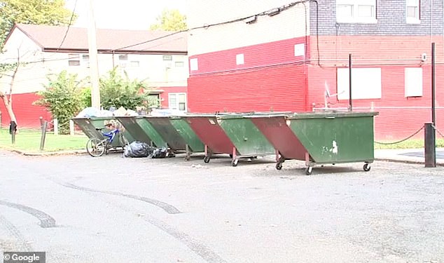 Pictured: A row of metal bins stands outside Haddington Houses council housing