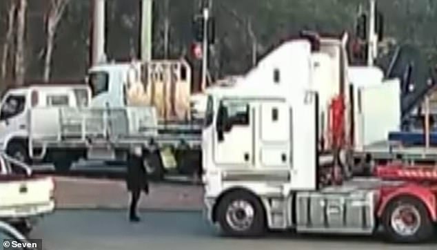 Leonia Picone, 55, is pictured standing in front of a truck just before she was hit and killed